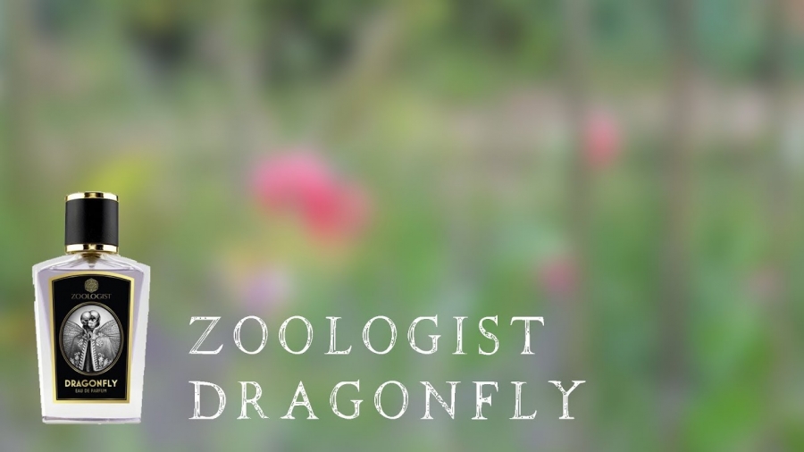 zoologist-dragonfly-featured